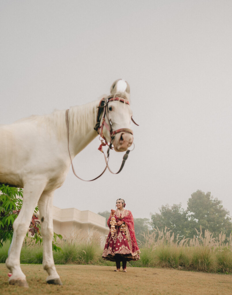 Punjabi bride portraits with horse by sUNNY Dhiman